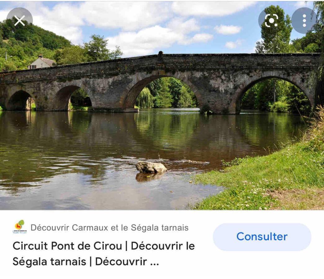 Le Gite De Las Peyros Mirandol-Bourgnounac 외부 사진